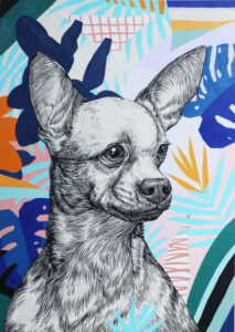 Chihuahua